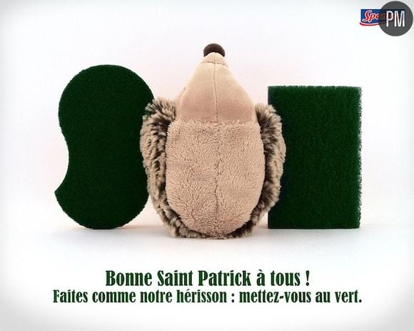 Spontex souhaite une bonne Saint-Patrick.