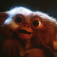 Les "Gremlins" bientôt de retour au cinéma ?