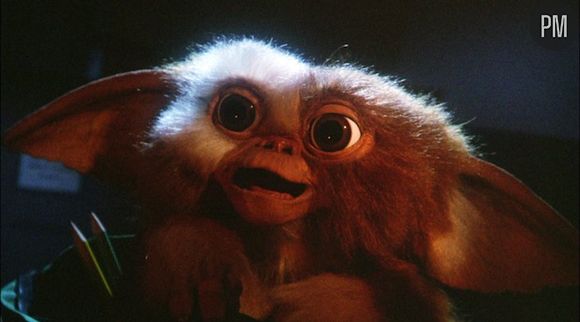 Un nouveau film des "Gremlins" serait en négociation