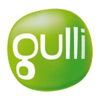 Le gouvernement prépare la sortie de France Télévisions du capital de Gulli