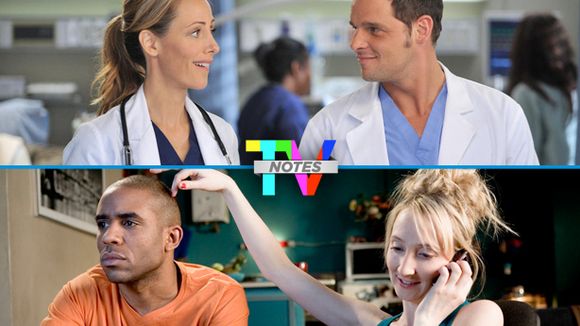 TV Notes 2013 : "Scènes de ménages" et "Grey's Anatomy" séries de l'année