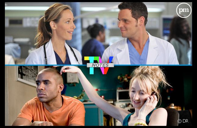 "Scènes de ménages" et "Grey's Anatomy", meilleures séries de la saison (TV Notes 2013).