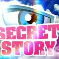 "Secret Story" pourrait ne pas revenir en 2014