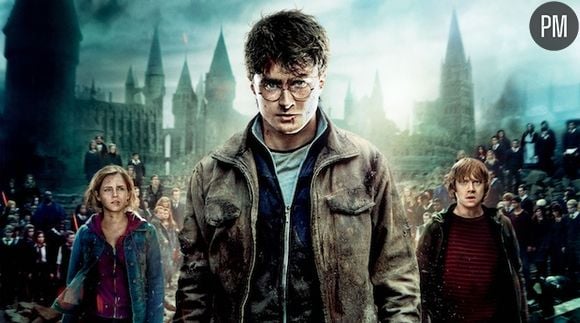 4. "Harry Potter et les Reliques de la mort - Partie 2"