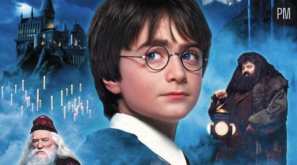 19. "Harry Potter à l'Ecole des sorciers"