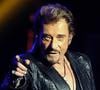 Johnny Hallyday, troisième artiste le mieux payé en 2013