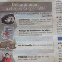 Infographie sur l'origine des délinquants : "Le Progrès" s'excuse, SOS Racisme porte plainte