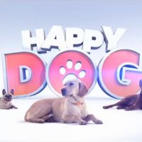 "Happy Dog" : M6 échange des chiens dès le 14 juin