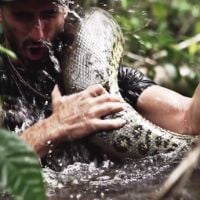 "Eaten Alive" : Un homme avalé vivant par un anaconda dans un doc de Discovery