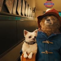 Box-office : "Paddington" plus fort que "La French", les Chevaliers du Fiel déçoivent