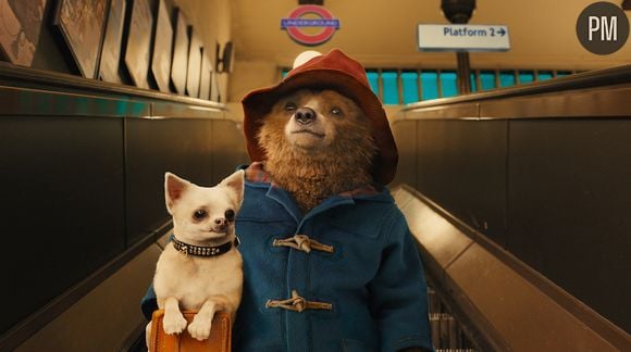 "Paddington" démarre en tête du box-office