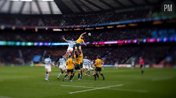 L'Australie s'est qualifiée pour la finale de la Coupe du monde de rugby