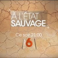 "A l'état sauvage" : Michaël Youn dans le "Running Wild" de M6 ce soir