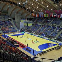 Handball féminin : L'Equipe se renforce avec de nouveaux droits sportifs