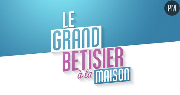 "Le grand bêtisier à la maison"