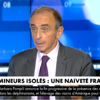 "Ils sont violeurs" : SOS Racisme porte plainte après des propos d'Eric Zemmour sur les mineurs isolés sur CNews