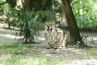 Audiences access 19h : Nagui parade, le JT de France 3 et "Une saison au zoo" en baisse, Cyril Lignac en hausse