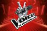 "The Voice" : Qui sont les coachs de la saison 12 sur TF1 ?