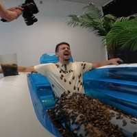 Audiences Youtube : Joyca casse la baraque en se baignant dans une piscine d'insectes