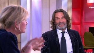 "Vous faites tout pour que l'on vous déteste" : Anne-Élisabeth Lemoine "gronde" Frédéric Beigbeder dans "C à vous"