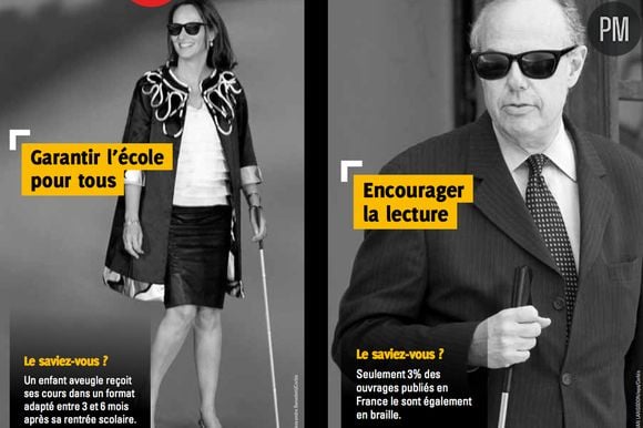 Fédération des Aveugles et Handicapés Visuels de France  FAF