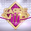 Le logo de "Carré Viiip", la télé-réalité de TF1