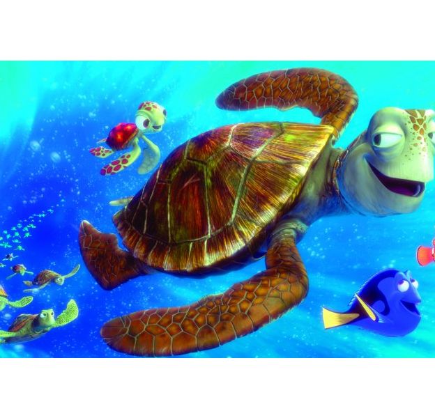 Le Monde De Nemo Photo Puremedias