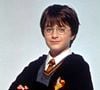 Daniel Radcliffe dans ''Harry Potter à l'Ecole des Sorciers''