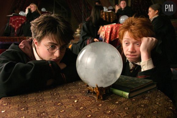 Daniel Radcliffe et Rupert Grint dans ''Harry Potter et le Prisonnier d'Azkaban''