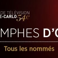 Festival de Télévision de Monte Carlo 2014 : tous les nommés