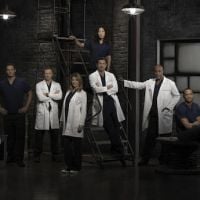 "Grey's Anatomy", "Scandal", "Agents of SHIELD"... : ABC renouvelle 10 séries