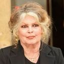 Brigitte Bardot : "Les films que je vois à la télévision sont souvent loin de me faire rêver"