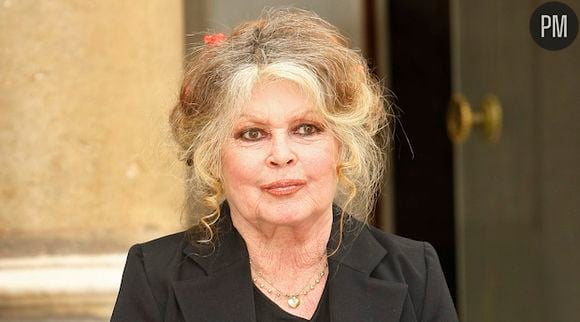 Brigitte Bardot critique envers le cinéma actuel