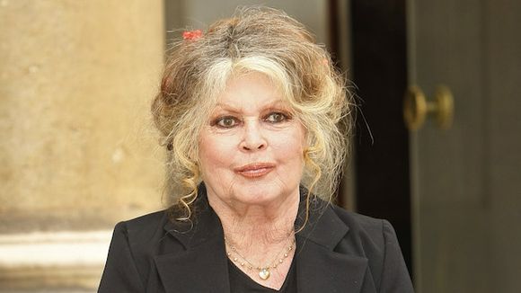 Brigitte Bardot : "Les films que je vois à la télévision sont souvent loin de me faire rêver"