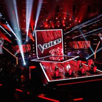 "The Voice" : Que sont devenus les talents des saisons précédentes ?