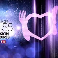 "Mission Enfoirés" : Le concert 2017 des Enfoirés ce soir sur TF1