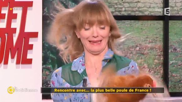 Une poule picore Maya Lauqué dans "La Quotidienne"