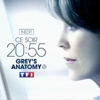 "Grey's Anatomy" : TF1 enchaîne avec la saison 13 dès ce soir