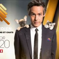 "Quotidien" : Après le "Tattoo Show", une spéciale chiens et chats ce soir sur TF1