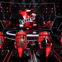 "The Voice" 2017, épisode 6 : "Je me suis retournée au premier cri"