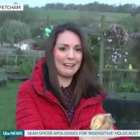 En plein duplex, un poussin se soulage sur une reporter britannique