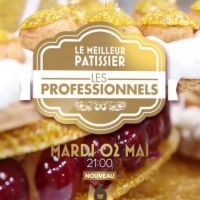 "Le Meilleur Pâtissier, Les Professionnels" : Une bande-annonce très artistique pour le nouveau concours de M6