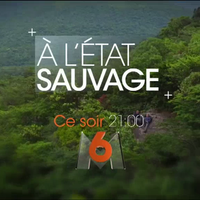 Christophe Dechavanne part "À l'état sauvage" ce soir sur M6