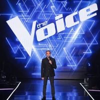 Audiences : "The Voice" large leader en hausse, "Cassandre" puissant sur F3, "Seul contre tous" (F2) déçoit