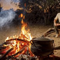 "Wild : La course de survie", épisode 1 : "Ne pense pas que c'est de la pisse !"