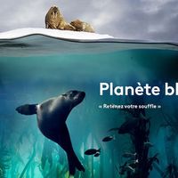 "Planète bleue" : France 2 diffuse le doc événement ce soir en prime