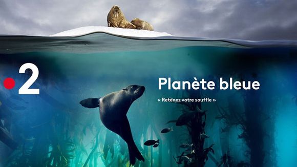 "Planète bleue" : France 2 diffuse le doc événement ce soir en prime