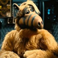 "Alf" bientôt de retour à la télévision ?