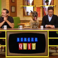 Improbable : Un chien candidat de "Burger Quiz" sur TMC !