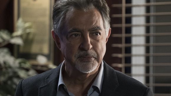 Audiences : La rediffusion d'"Alex Hugo" leader, "Le meilleur pâtissier" en forte hausse, succès pour Blanche Gardin